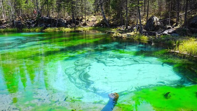 Geyser Lake with blue clay in the Altai Republic. Blue Lake, a tourist attraction in Russia