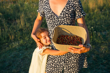 Fresh ripe red berries of wild strawberries in a basket in the hands of a woman in a summer dress...