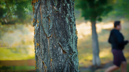 concept, sport in nature. Selective focus. Unrecognizable.