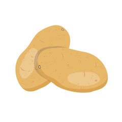 White raw potato, flat style vector illustration isolated on white background