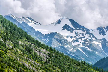 Mountain landscape with snow-capped peaks and green coniferous forest on the mountainside