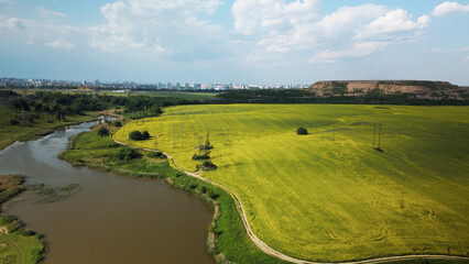 Blooming rapeseed field. On the edge of the field there is a pond. A mothballed city dump is...