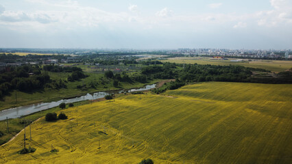 Blooming rapeseed field. On the edge of the field there is a pond. Aerial photography.