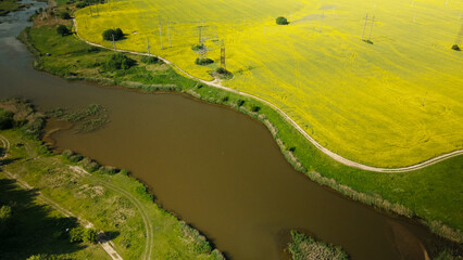 Blooming rapeseed field. On the edge of the field there is a pond. Aerial photography.