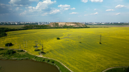 Blooming rapeseed field. On the edge of the field there is a pond. Aerial photography.