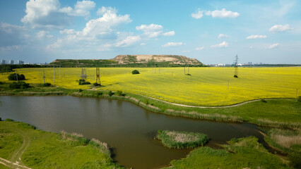 Naklejka premium Blooming rapeseed field. On the edge of the field there is a pond. A mothballed city dump is visible on the horizon.Aerial photography.