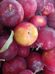 apples