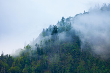 Mountain slope in clouds and mist