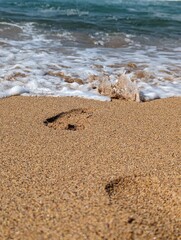 footprints on the sand