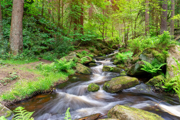 Stream in the forest.  England landscape in the national park Peak District on a sunny day in Summer