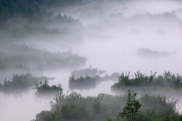 Obraz na płótnie Canvas Fog on the lake