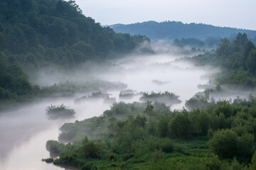 Fog on the lake