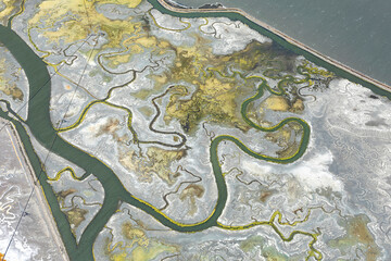 scenic aerial view to fields and shore of San Francisco with marshland of the land reclamation Projekt