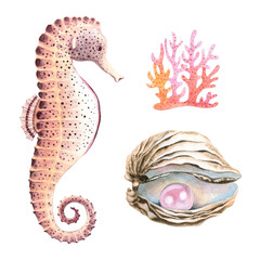 Seahorse, pearl and coral set. © MariArtySpace