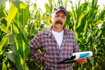 Farmer standing in corn field examining crop. Harvest care concept.
