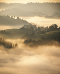 Foggy scenery at the countryside in the early morning