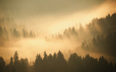 Obraz premium Foggy scenery at the countryside in the early morning