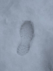 footprint in snow