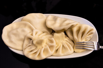 Georgian and Caucasian traditional dumplings; Khinkali food
