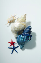 Concept image for summer vacation.