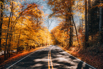 Obraz premium An autumn road in Vermont