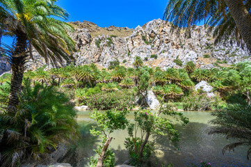 Fototapeta na wymiar Preveli Beach - famous for the beautiful river with azure clear water and tropical palm forest behind the beach - in southern Crete island, Greece, Europe.