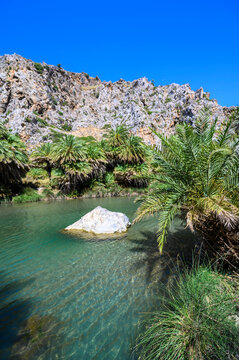 Preveli Beach - famous for the beautiful river with azure clear water and tropical palm forest behind the beach  - in southern Crete island, Greece, Europe.