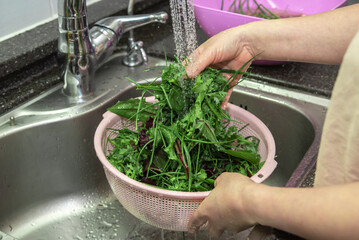 Washing vegetable in the kitchen, woman hands.
