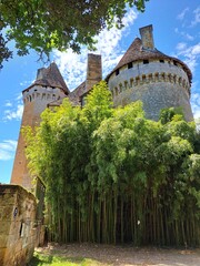 Bamboo stand and French chateau