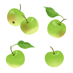 青リンゴの手描きのイラスト