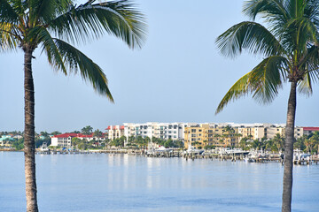 Apartments seen through palm trees along the intracoastal waterway near Lantana beach in South Florida