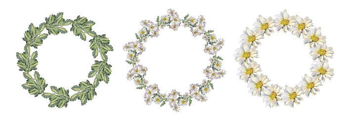 Set watercolor circle frame border template for design. Wreath of flower chrysanthemum daisy chamomile isolated on white background. Hand-drawn summer plant. Copy space. Clipart wedding invitation
