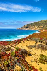  Ocean waves hitting west coast next to sandy beaches and colorful spring plants © Nicholas J. Klein