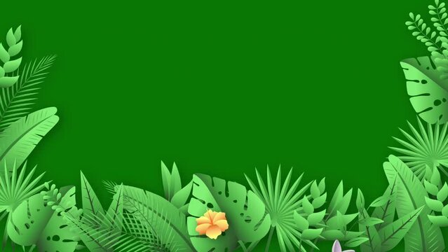 Tropical jungle animation video with green background