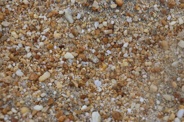 small rocks carried along by a river