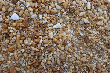small rocks carried along by a river
