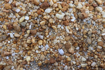 small rocks carried along by a river