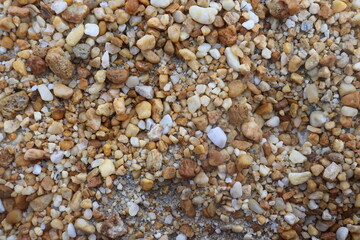 small rocks carried along by a river