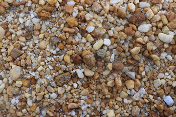 small rocks carried along by a river