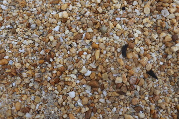 small rocks carried along by a river