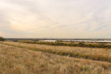field of grasses and coastal wetlands with distant cityscape of Melbourne in fog