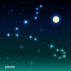 Zodiac signs in the night sky. Western zodiac horoscope. Pisces .