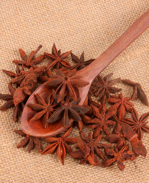 Single Chinese star anise seed isolated over the white background