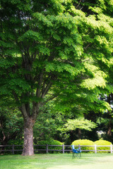 清々しい空気と青空と緑の大地