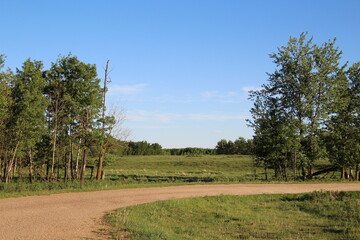 road in the countryside, Elk Island National Park, Alberta