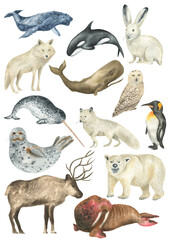 Set of arctic animals