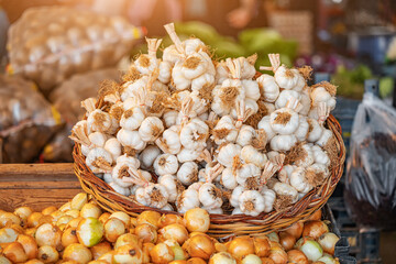 A rustic bunch of garlic is sold at the farmer's eco market. Seasonings and spices concept