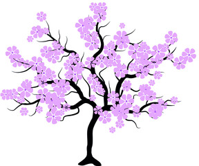 Obraz na płótnie Canvas cherry tree vector drawing