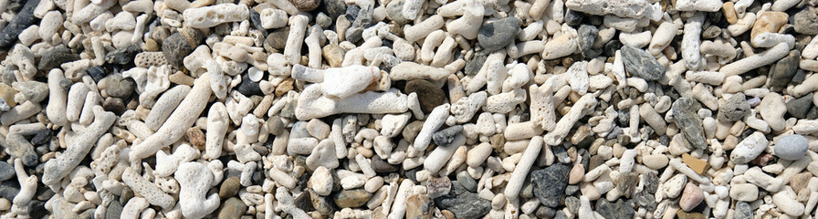 【素材】サンゴの砂浜（奄美大島）ワイド