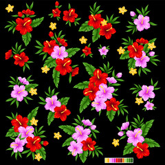 Tropical flower vector illustration material collection,